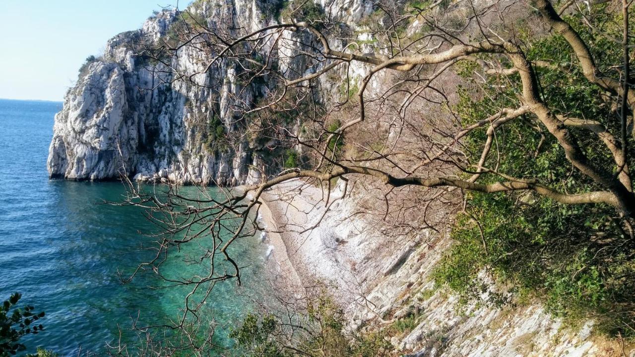 Hotel Aurora Duino Pokoj fotografie